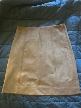 Aritzia Babaton Faux-Suede A-Line Skirt